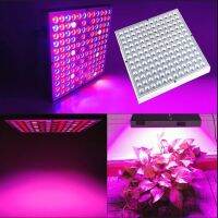 2020 45w 75w Ac85-265v Eu us Au Plug Led Grow Light Lamp for Plants Flower/greenhouse Growlight/ Hydroponic System Free Shipping