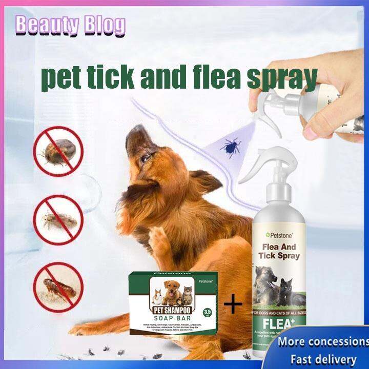 Dog Anti Tick And Flea Spray Anti Garapata Killer Tick Buster Spray For ...