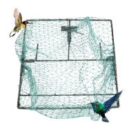 Humane Bird Net Quail Gardening Supplies Pigeon Traps Dirt Net for Birds 15.75x13.78