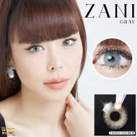 """? มีค่าสายตา ? Wink Zani Gray Brown บิ๊กอาย สุดปัง คอนแทคเลนส์ รายเดือน มีอย แถมตลับฟรี เลนส์นิ่ม สวยปังมาก"""