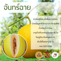 เมล็ดเมล่อนพันธุ์จันทร์ฉาย 100 เมล็ด ตราพยัคฆ์ติดปีก เมล็ดพันธุ์ เนื้อส้ม ผลไม้