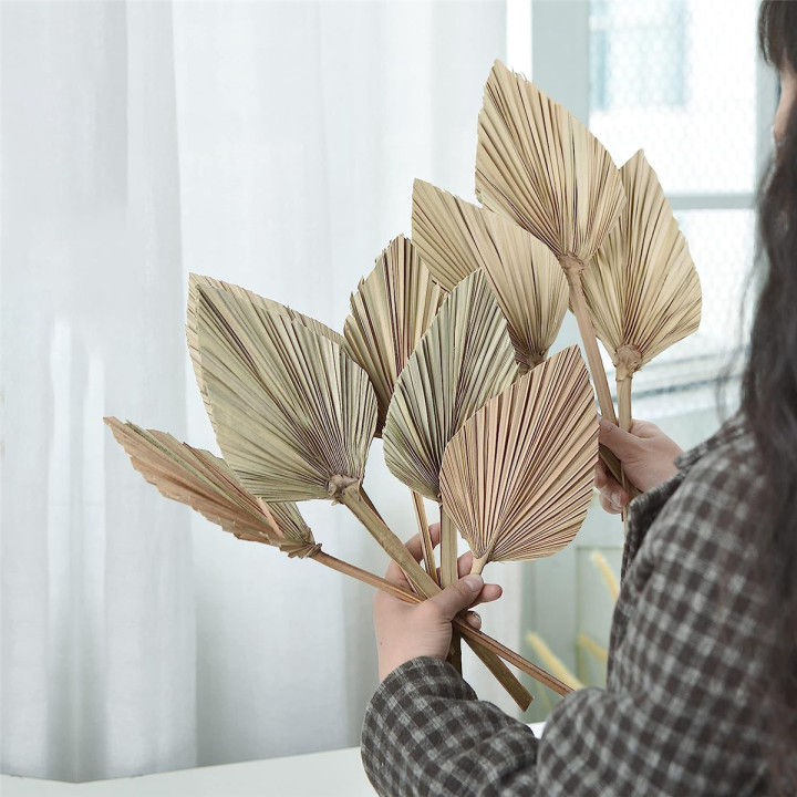 12-pcs-natural-dried-palm-leaves-decor-boho-dried-leaf-for-weddings-decoration-bedroom-kitchen-office-10x40cm