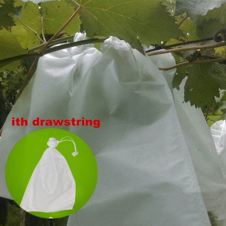 50pcs-lot-vegetable-grapes-bags-non-woven-fabric-apples-fruit-protection-bag-pouch-agricultural-pest-controlanti-bird-mesh-bags