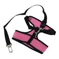 Car Safety Leash for Pet Dark pink - Size XL