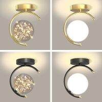 LED Ceiling Lights for Hallway, Bedroom, Dining Room, Hallway, Gallery, Dining Room, Cafe, Office, Interior Lighting