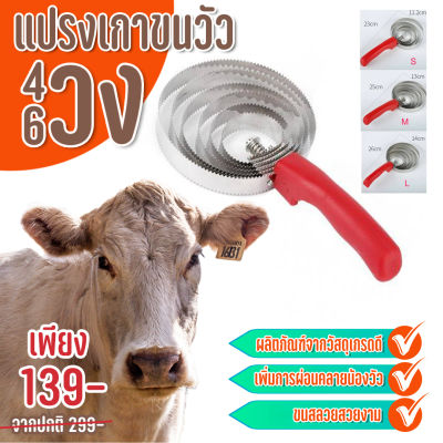 แปรงขนแกะ แปรงเกาขนวัว แปรงขนแกะ แปรงขนม้า รับประกัณภาพส่งตรงจากไทย