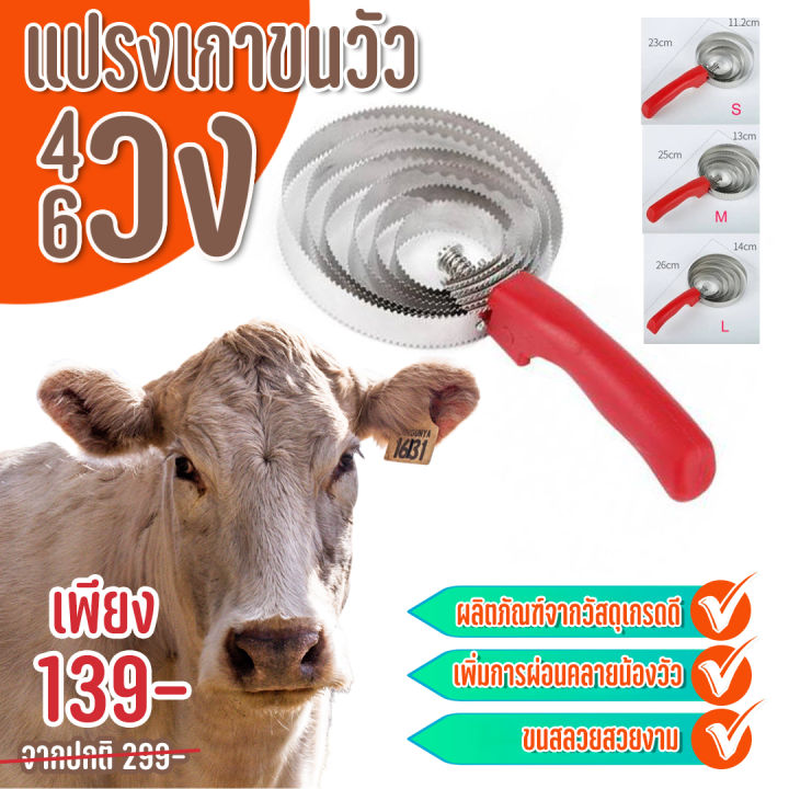 แปรงขนแกะ-แปรงเกาขนวัว-แปรงขนแกะ-แปรงขนม้า-รับประกัณภาพส่งตรงจากไทย