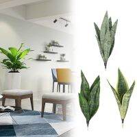 การจัดดอกไม้ของตกแต่งบ้าน NANMEN0 Sansevieria Trifasciata Prain ชีวิตงูเทียมหญ้ากล้วยไม้