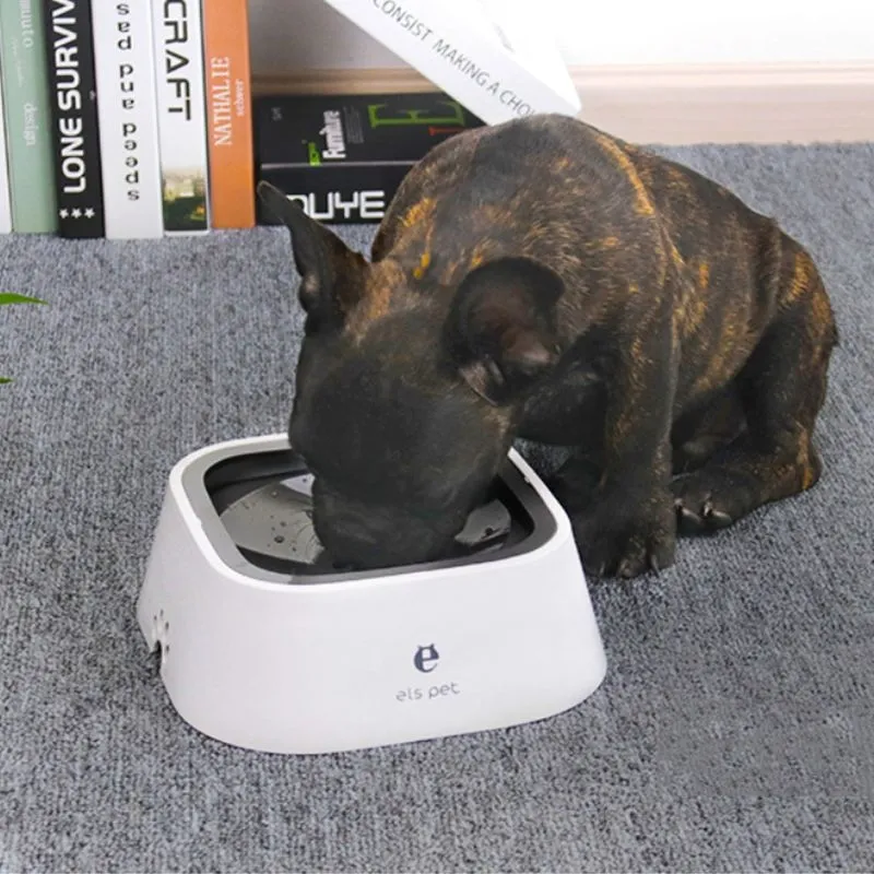 Are Plastic Dog Water Bowls Safe