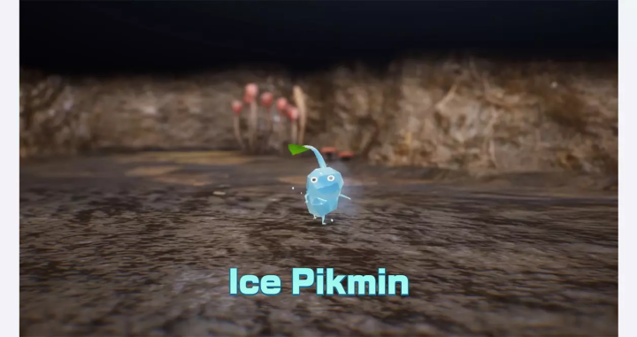 pikmin-4-nintendo-switch-game-เกมนินเทนโดสวิทซ์-ของแท้