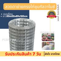 [ทนสนิม ตา1นิ้วและ2นิ้ว]ลวดตาข่ายกรงไก่ชุบกัลวาไนซ์(แบบร้อน)ยาว30m /ตะข่ายสี่เหลี่ยม ตะแกรงกรงนก แข็งแรงกันสุนัข กันหนู กันงู