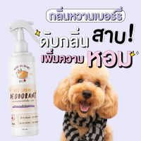 สเปรย์ดับกลิ่นสุนัข Berry Midnight : 250 ml. PETSUﾂ  สารสกัดจากญี่ปุ่น - น้ำหอมดับกลิ่น สเปรย์ดับกลิ่นหมา สเปรย์อาบน้ำแห้ง