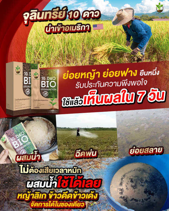 ซื้อ1แถม1-10ดาวไบโอ-ส่งฟรี-10ดาวสูตรใหม่-1ซอง-แถมฟรี-10ดาวดูโอ้-1ซอง-10ดาวจุลินทรีย์-ไบโอจุลินทรีย์-หัวเชื้อจุลินทรีย์-จัดการข้าวดีด-ข้าวเด้ง