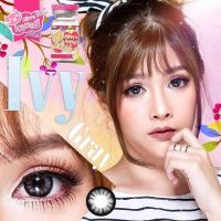 IVY Gray Kitty Kawaii บิ๊กอาย สีเทา เทา คอนแทคเลนส์ ตาโต เน้นขอบดำ แบ๊ว Contact lens แฟชั่น ค่าสายตา สายตาสั้น