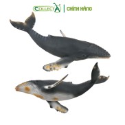 Đồ chơi mô hình động vật CollectA Cá Voi Lưng Gù - Humpback Whale