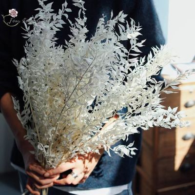 [AYIQ Flower Shop] 65G ดอกไม้แห้งดอกยูคาลิปตัสสีรัสคัสช่อดอกไม้อุปกรณ์อุปกรณ์ตกแต่งสวนของตกแต่งงานแต่งงานประดิษฐ์