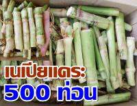 พันธุ์หญ้าเนเปียแคระ บรรจุ 500 ท่อน