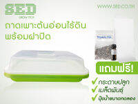 ถาดพลาสติกเพาะต้นอ่อนพร้อมฝาปิด ผักไมโครกรีน Microgreen Tray สีเขียวขนาด 240x305x50 มม.โดยไม่ใช้ดิน - ทานตะวัน โต้วเหมี่ยว ไควาเระ ถั่วงอก