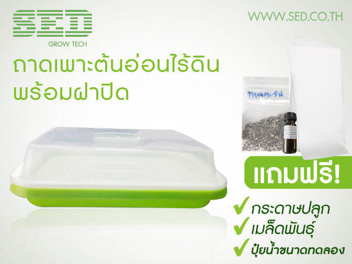 ถาดพลาสติกเพาะต้นอ่อนพร้อมฝาปิด-ผักไมโครกรีน-microgreen-tray-สีเขียวขนาด-240x305x50-มม-โดยไม่ใช้ดิน-ทานตะวัน-โต้วเหมี่ยว-ไควาเระ-ถั่วงอก