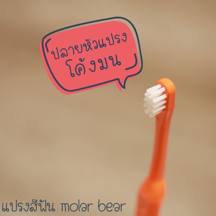 molar-bear-แปรงสีฟันเด็ก-0-3-ขวบ-ขนนุ่ม-หัวแปรงขนาดเล็ก