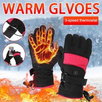 3-Gear USB Motorcycle Gloves Waterproof Electric Heated Guantes Moto Rechargeable Battery Motorbike Racing Riding Gloves Winter