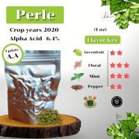 Perle Hops (1oz) Crop years 2020 (บรรจุด้วยระบบสูญญากาศ)