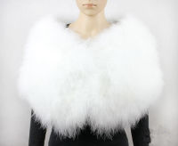 （HOT）feather bolero bride shawl femme poncho fur cape women wedding shawl wraps furry white real ostrich feather fur scarf S411