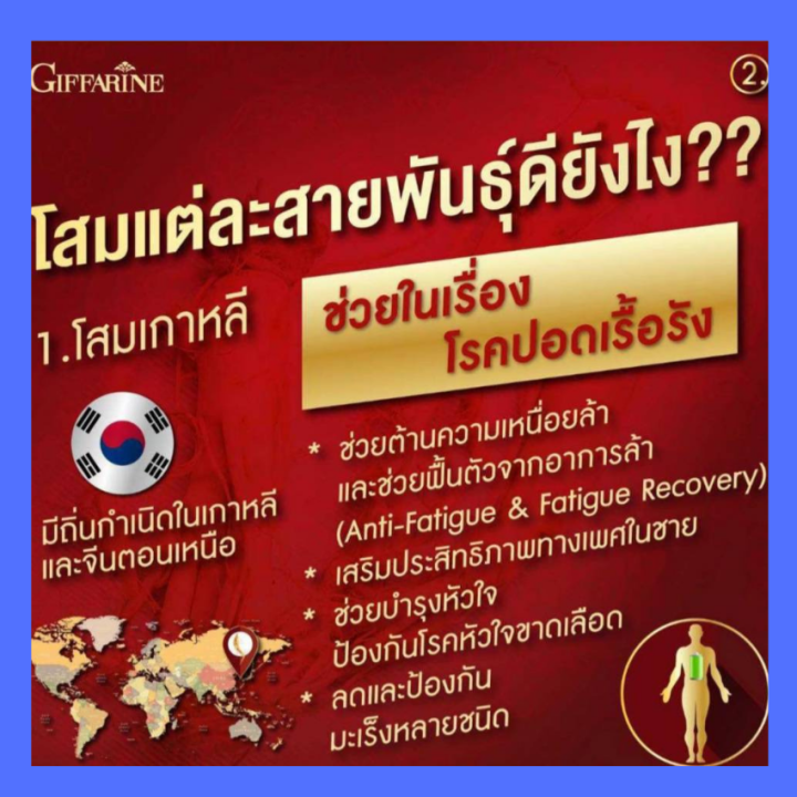 ส่งฟรี-โสมเกาหลี-กิฟฟารีน-korean-ginseng-capsule-ผลิตภัณฑ์เสริมอาหารโสมเกาหลี-ชนิดแคปซูล-ประกอบด้วยผงรากโสม-500-มก