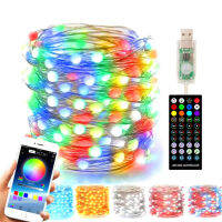 USB 5M10M20M Smart String Led Light With Remote IP67 Waterproof Sync To Music Timer Multicolor Fairy Lamp With App Bluetooth