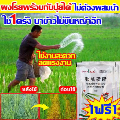 ยาคุมหญ้าข้าว คุมฆ่าในนาข้าว ยาคุมหญ้าข้าว 1ฟรี1 เข้มข้นสุดๆ 10g ประหยัดข้าวจากวัชพืช เห็นผลรวดเร็ว ระยะเวลานาน (1ชุด ผสมน้ำ60catties) วัชพืชในนาข้าวต่างๆ หญ้าข้าวนก หญ้าหูหนู สารกำจัดวัชพืช คุมเลนนาข้าว ยาคุมหญ้า กำจัดวัชพืชดื้อยา