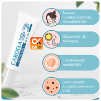 คาร์เดลาร์ สการ์เจล CARDELA Scar Gel 10 g  อ่อนโอน รอยแผลเป็นแลดูจางลง (วันหมดอายุ 10/11/25)