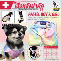 เสื้อสุนัข เสื้อแมว หลังผ่าตัด ทำหมัน DOGGY STYLE ลาย Pastel Boy &amp; Girl (Size 2 นน. 2-3 กก.) เสื้อหลังผ่าตัด เสื้อหลังทำหมัน โดย Yes Pet Shop