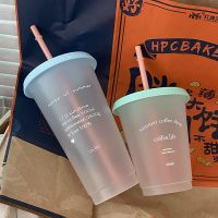 Reusable Water Cup Ins French Summer Coffee Cup Plastic Straw Cup Large Capacity Handy Cup 475/700ml