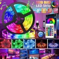 USB RGB Led Strip Lights Bluetooth 1-30M RGB Tape For Room LED Luces Flexible Ribbon Lamp Desk Screen TV Background Lighting LED Strip Lighting