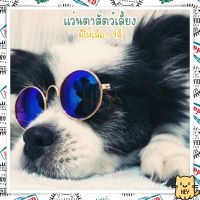 แว่นแมว แว่นตาแฟชั่น สำหรับสัตว์เลี้ยง แว่นตาแมว แว่นตาหมา สุนัข Pet glasses