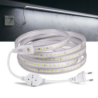 High Quality AC 110V 220V LED Strip Lights 2835SMD 120LEDs/m Flexible Outdoor Lamp Waterproof LED Tape With EU/US Power Plug