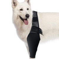 【cw】 Pet Dog Knee Brace Support Dog Injuries Leg Knee Brace Strap Protection Dog Knee Support Sleeve Knee Dogs Accessories