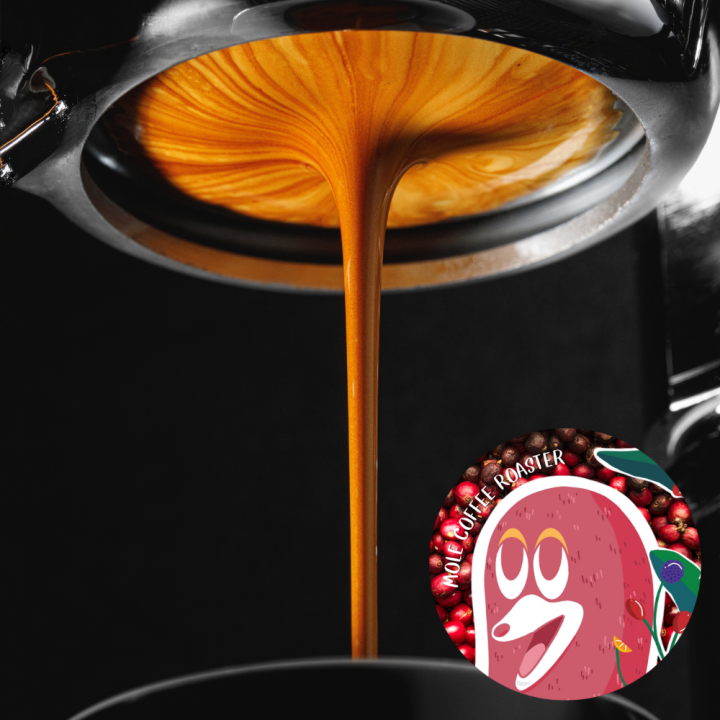 mole-coffee-เมล็ดกาแฟคั่ว-บราซิล-ซานโตส-กาแฟอาราบิก้า-บดฟรี-ส่งไว-คุ้มค่า-ราคาถูก-คั่วใหม่ทุกออร์เดอร์
