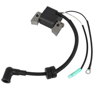 Ignition Coil Assy 6BX-85571-00 for Yamaha Boat Engine F4L F4S F6L F6S F6C 4-Stroke, Coil for Hidea F6 4 Stroke 6HP