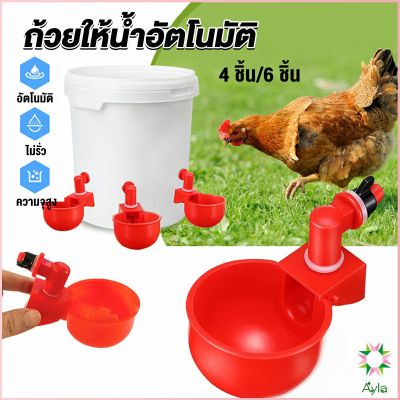 Ayla ถ้วยให้น้ำอัตโนมัติ สำหรับไก่ 4 ชิ้น 6 ชิ้น Automatic drinker