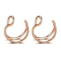 2Pcs แหวนจมูก Hoop Double Row Nose Lip Septum กระดูกอ่อน Helix สแตนเลสเจาะเครื่องประดับ Unisex สำหรับผู้หญิง Men