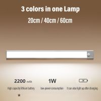 USB Rechargeable Kitchen Lighting Lamp Night Light Led Light Under Cabinet Light Motion Sensor Closet Light Cabinet