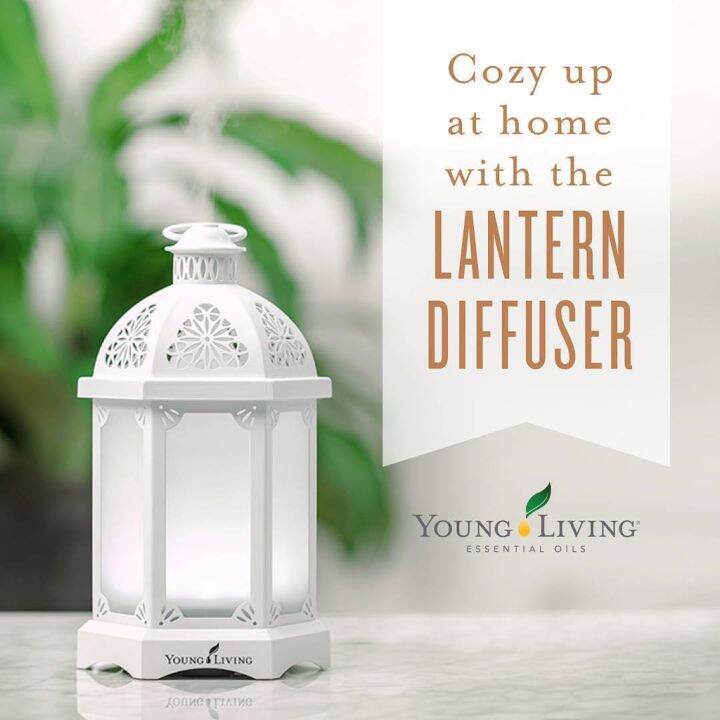 Young Living Lantern Diffuser Lazada PH