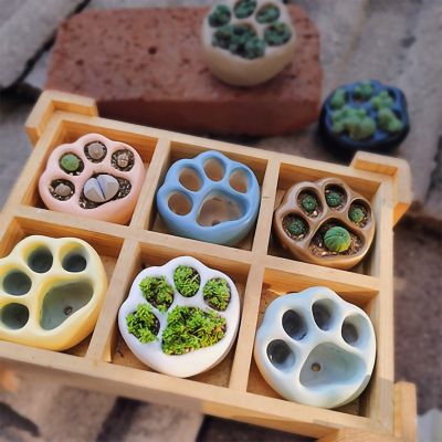 Lovely Multicolor Cat Paw Cement Flower Pot Mini Succulent Plant Container Desktop Home Ornament Garden Planter Small