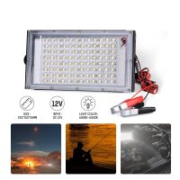 LED Flood Light 50W 100W DC12V Waterproof IP65 Reflector Led Spotlight Projector FloodLights Streetlight Outdoor Lighting