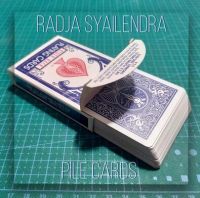 การ์ดกองโดยเทคนิคมายากล Radja Sailendra