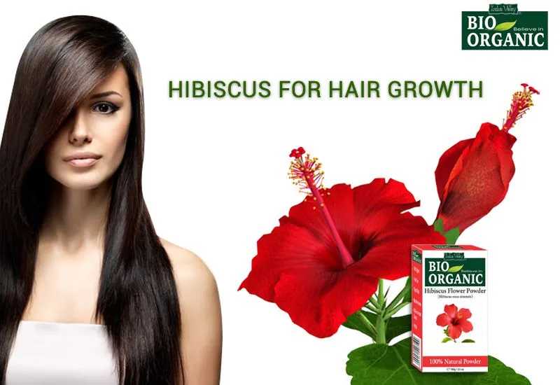 Bio Organic Hibiscus Flower Powder 100% Organic, No Added Chemicals 100 g |  Lazada