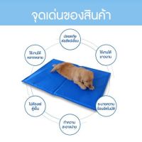 Pet Cool mat แผ่นเจลเย็น ที่นอนเย็น เบาะนอนเย็น สำหรับสุนัขและแมว Size S ขนาด 40×30 ซม -.แผ่นเจลเย็นรุ่นปรับอุณหภูมิได้