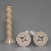 10ชิ้น PEEK Polyetheretherketone Cross Countersunk หัวเครื่องสกรูสลักเกลียว