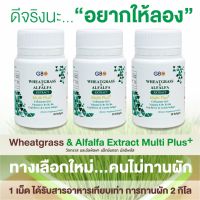 Wheatgrass &amp; Alfalfa Extract Plus Q10 ผักเม็ดเสริมภูมิ บำรุงสมอง ดวงตา (3 กระปุก 90 เม็ด)